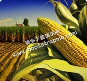 以专业品质，服务全球玩家 - pg电子官网